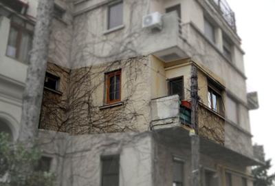 Apartament 1 camera in bloc interbelic langa Palatul Cotroceni - 16