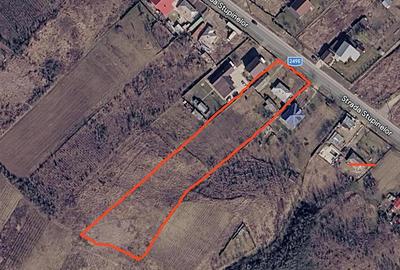 Teren 4800MP - Tomesti - La Soseaua Principala - 4