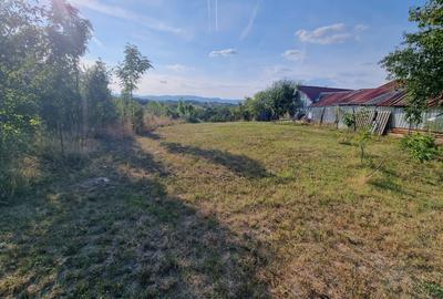 Teren Construcții de 728 mp, în Oarda