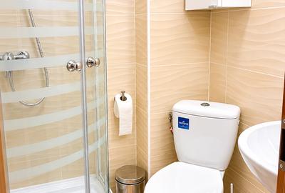 Apartament cochet pentru inchiriere zona Bucurestii Noi-Pod Constanta - 8