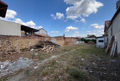 Casă individuală de vânzare – Turnișor, Sibiu - 11