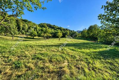 Teren extravilan de 1200 mp, în Sibiel