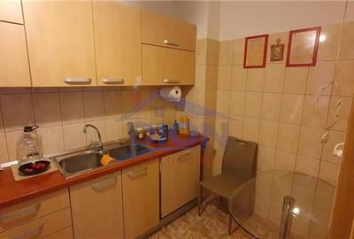 APARTAMENT 3 CAM CENTRALA, BRANCOVEANU HUEDIN - 13