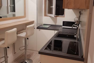 Apartament 2 camere de inchiriat Centru Civic - 1