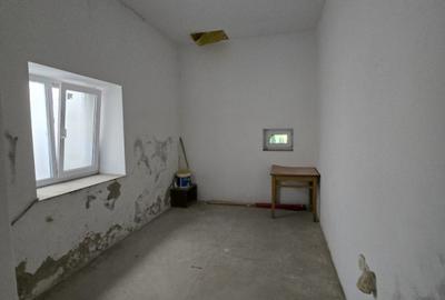 Cenad-Posibilitate Afacere-casa si 669mp teren-Ultracentral - 6