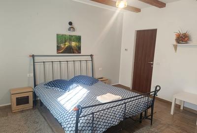 Pensiune/Casă cu 9 camere | Aproape de Cetate | Investiție premium - 8
