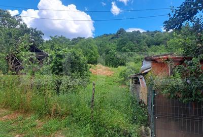 Teren Construcții intravilan de 3484 mp, în Viforâta