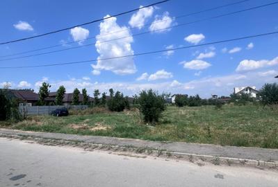 Teren de Vanzare Cornetu strada Rasaritului - 1