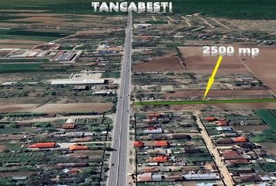 Teren agricol intravilan de 2500 mp, în Ciolpani