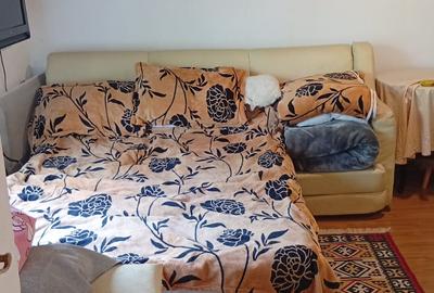 Proprietate de vanzare in Golești - 10800 mp teren și două case - 8