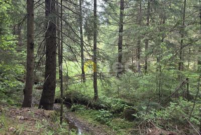 De vânzare casă de vacanță deosebită | Călățele Pădure – Dealul Negru, Cluj - 15