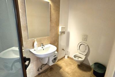 Vanzare vila complet renovata,ideal birou, 450mp Stefan Cel Mare Lizeanu - 14