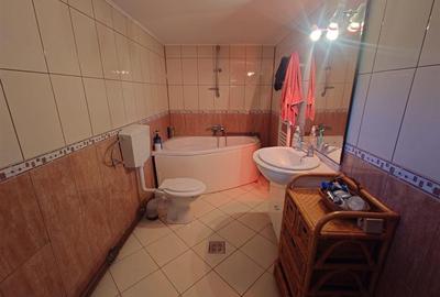 Casa cu gradina si foisor in Brazii Arad - 12