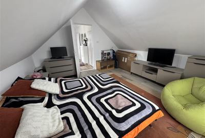 Casa de vanzare P+M cu teren 3300 mp, Hidiselu de sus - 12