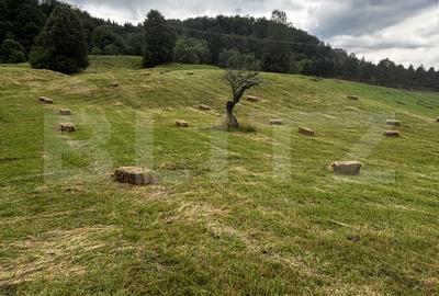 Teren Construcții intravilan de 9000 mp, în Exterior Vest