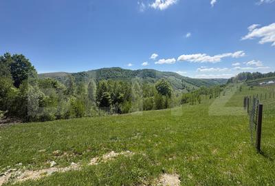 Teren Construcții intravilan de 5000 mp, în Muntele Băișorii