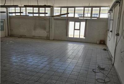 Spatiu Industrial - 3000 mp - Productie - Depozitare - Distributie - 16