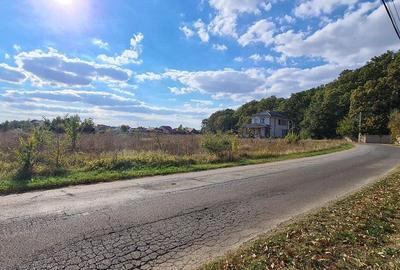 Teren intravilan de vânzare Corbeanca padure – 721 mp, utilități, - 4