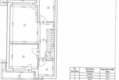 Nou- Vila duplex cu 6 camere- zona Cambridge - Iancu Nicolae - 22