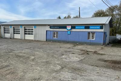 Hale într-o zona industrială ușor accesibila - 1