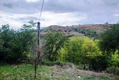 Proprietate în zonă de deal în localitatea Zărnești, la 20km de orașul Buzău - 10