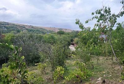 Proprietate în zonă de deal în localitatea Zărnești, la 20km de orașul Buzău - 1