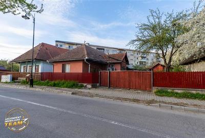 Casa in inima statiunii Covasna, cu gradina, vie si pomi fructiferi - 21