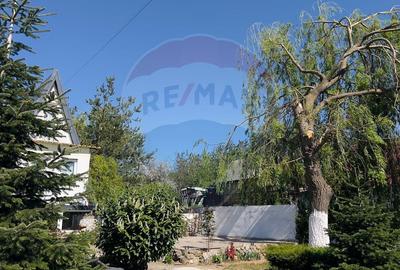 Casă / Vilă cu 4 camere de vânzare - 3