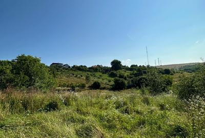 Teren de vanzare in Feleac, Intravilan - 2
