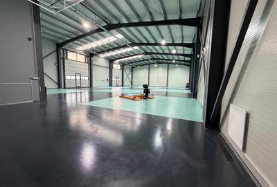 Hala 595 mp noua Pasajul  Domnesti/Soseaua de Centura - 12