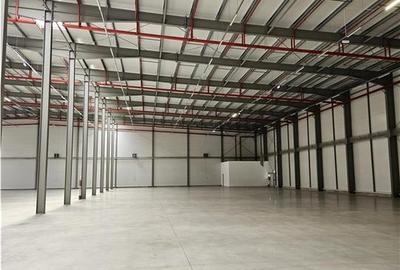 Spatiu Industrial - 5000 mp - Logistica - Productie - Depozitare - Distributie - 14