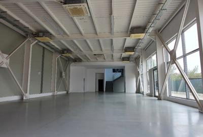 HALA depozitare, showroom cu utilitati – Drumul Garii Otopeni - 3