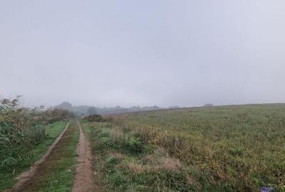 Creata  -  Dascalu teren de vânzare - 7567 mp cu dublu acces lângă lac - 8