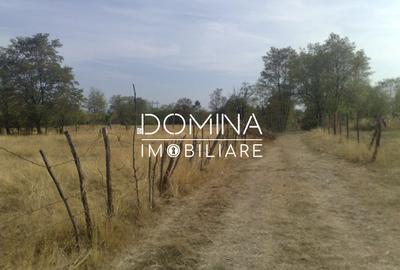 Vanzare teren intravilan 6843 mp, aproape de Manastirea Polovragi - 3