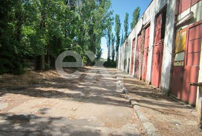 GIURGIU | Hala 5.000 mp | Acces TIR | Parcare TIR | Inaltime 7m - 9