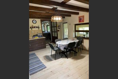 House in Brebi, Sălaj - 1