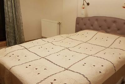 Apartament zona Garlei-Dobrogeanu Gherea cu terasa mare si curte proprie - 4