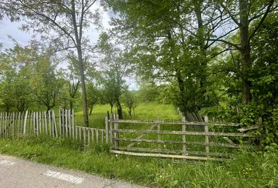 Teren intravilan Sotrile 6762 mp - Investitie, camping, agroturism - 4