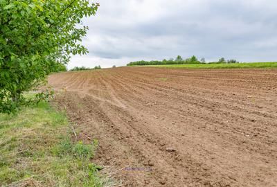 Casă din chirpici, bucătărie de vară și 1.34 ha de teren, Ardeoani - 20