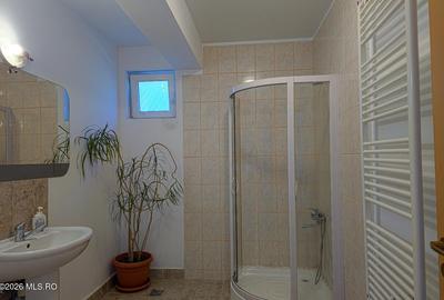 Sacalaz - Casa P+M, 139 MP, 3 Dormitoare, 3 Bai, Birou, Foisor, Iaz - 6