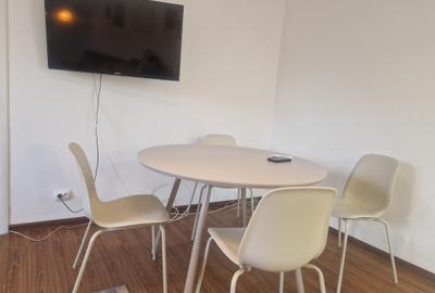 Apartament cochet zona Take Ionescu-cu centrala gaz - 10