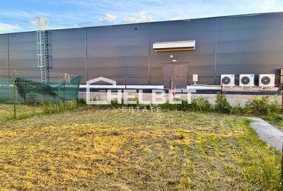 3 CAMERE / PET-FRIENDLY / SÂNPETRU / CURTE - 18