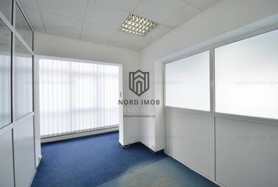 Inchiriere 242 mp | Imobil birouri Domenii | Comision 0%-Reprezentare Proprietar - 8