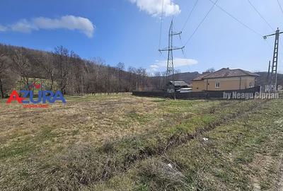 AZURA Imobiliare - Teren Babana Central la Asfalt - 4