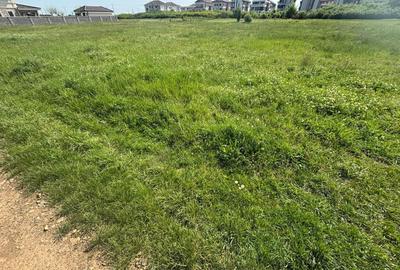 Teren 1239 mp front 29 in Aradul nou - 10