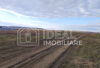 Teren Construcții intravilan de 455 mp, în Șura Mică