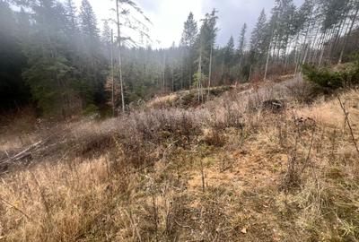 Teren 2576mp Poiana Brasov-Poiana Aviatorilor! - 1