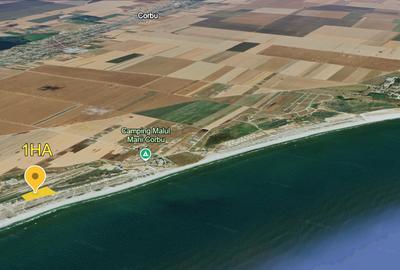 CORBU - 5000 MP PRIMUL RAND LA MARE - - 3