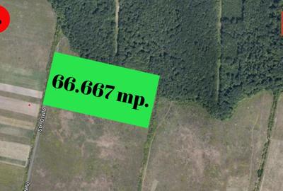 COMISION 0% Teren extravilan Mosnita in zona de Padurea Bistra - 66.667 mp - 2