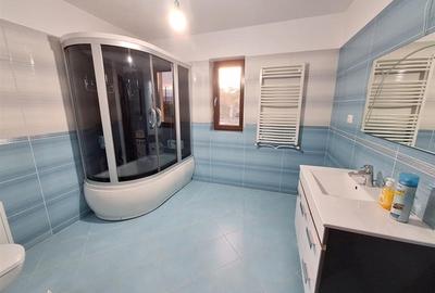 Casa P+1+M, 6 camere, garaj, beci, Nicolae Balcescu - 12